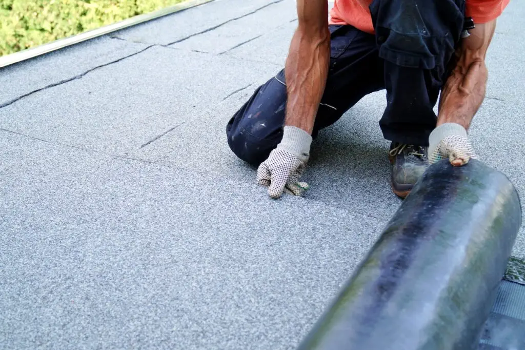 Flat Roof Repair Services