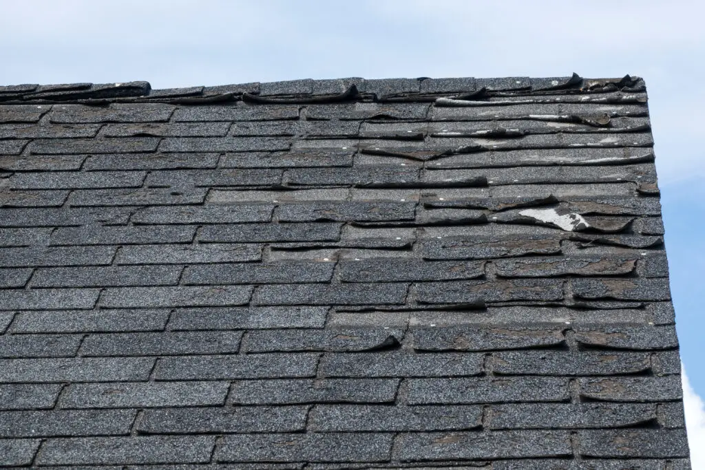 Roof Repair Services